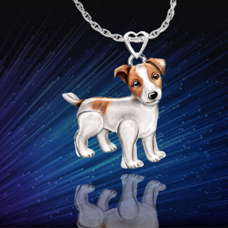 Jack russell terrier sales accessories