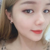 925 Sterling Silver Crystal Jewelry  Zircon Circle Hoop Earrings For Woman  XY0179