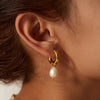 Stainless Steel Gold Plated Earrings Pearl Pendants Women's Earrings Simple Pendant Earrings Party Jewelry - Image 4