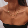 Stainless Steel Flat Snake-Chain Necklace in Multiple Styles - Image 36