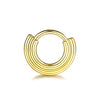 1Pc Titanium Nose Hoop Daith Earring Conch Helix Septum Piercing Clicker Segment Helix Rook Ear Piercings Women Body Jewelry 16G - Image 23