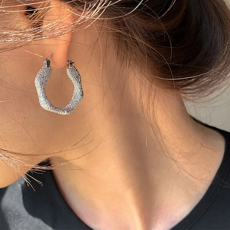 Frosted Sparkling Gypsophila Ear Buckle Hoop Earrings for Women Girl Geometric Metal Irregular Earring Punk Jewelry Gift