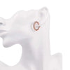 Silver Earrings Inlaid Zircon Earrings Rose Gold Earrings For Women'S Charm Jewelry Gift - Image 5