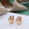 Glossy Dangle Earrings Rose Gold Simple Earrings For Women Daily Jewelry - Image 6