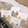 Daisy Flower Earrings Asymmetrical Korean Jewelry Cute Flower Small Stud Earrings For Women Sweet Earring - Image 6