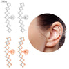 1PC Zircon CZ Leaf Heart Star Flower Ear Studs Cartilage Earring for Women Stainless Steel Small Ear Piercing Jewelry - Image 6
