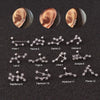 1Pc Twelve Constellations Steel Daith Earring Ear Piercing Barbell CZ Horoscope Ear Tragus Daith Piercing Jewelry 20G - Image 3