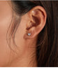 Brilliant Star Butterfly and Snowflake Stud Earrings in Multiple Designs - Image 40