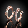 Silver Earrings Inlaid Zircon Earrings Rose Gold Earrings For Women'S Charm Jewelry Gift - Image 2