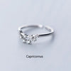 Minimalist Inlaid Cubic Zircon 12 Constellation Zodiac Sign Rings for Women Simple Silver Color Adjustable Ring Jewelry Gift - Image 18