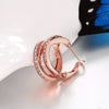 Silver Earrings Inlaid Zircon Earrings Rose Gold Earrings For Women'S Charm Jewelry Gift - Image 3