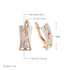 Personality 585 Rose White Gold Color Design A&W Letter English Lock Clip Earrings Zircon Earrings Jewelry Gift - Image 2