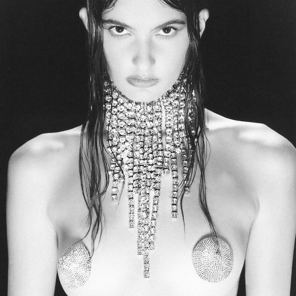 Personality Rhinestone Chunky Choker Necklace for Women Crystal Exaggerated Tassel Choker Chain Luxury Fringe Accessories Gift