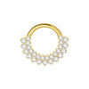 1/5PCS Titanium 16G CZ Hinged Clicker Segment Hoop Ring 8mm CZ Daith Earring Cartilage Conch Tragus Septum Nose Piercing Jewelry - Image 7