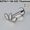 1PC Moon Titanium Cartilage Earrings Stud 16G Internally Threaded Helix Heart Ear Tragus Piercing Body Jewelry - Image 35