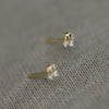 Silver Plated Gold Mini Fish Tail Earrings for Women Korean Simple Sweet Daily Jewelry Wearing - Image 6