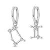 Silver Twelve Constellation Series Stud Zircon Earrings Wedding Ladies Jewelry Women Girls - Image 17