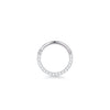 1Pc Titanium Nose Hoop Daith Earring Conch Helix Septum Piercing Clicker Segment Helix Rook Ear Piercings Women Body Jewelry 16G - Image 31
