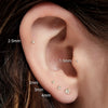 2/8PCS Stainless Steel Eearring Nose Stud Cartilage Piercing Jewelry Helix Tragus Lip Flat Back Tiny Earrings for Women 18G - Image 11