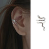 Delicate Tassel Clip Earrings Female Buckle Ear Cuff No Piercings Fake Cartilage Ear for Women Jewelry Gifts - Image 19