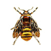Insect Bumble Bee For Women Kids Girls Jewelry Gold Color Yellow Green Enamel Brooches - Image 1
