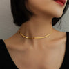 Punk Clavicle Flat Blade Snake Link Choker Necklace Gold Silver Color Stainless Steel Double Necklace Women Jewelry Gift - Image 2