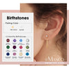 Zircon Birthstone Pendant Earrings 12 Zodiac Signs Stainless Steel Jewelry Party Gifts - Image 1