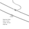 Stainless Steel Chain Necklace in Paperclip Box or Twisted Link Styles - Image 7