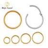 Titanium Hinged Hoop Nose Rings 20G 18G 16G Septum Ring Body Piercing Jewelry Helix Cartilage Rook Earring - Image 1