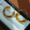Vintage Brown Resin Round Hoop Earrings for Women Elegant Geometric Circle Temperament Earings Wedding Jewelry Gifts - Image 10