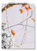 Natural Freshwater Pearl Thin Chain Handmade Necklace Arrivals Stainless Steel Basic Daily Jewelry - Image 13
