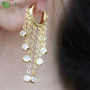 Silver Needle Zircon Crystal Tassel Hoop Earrings for Women Long Earrings Wedding Party Jewelry - Image 1