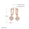 Unique Square Drop Earrings for Women Rose Gold Color Shiny Zircon Accessories Ethnic Jewelry - Image 2