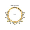 Titanium 16G CZ Hinged Clicker Segment Hoop Ring Sunburst CZ Daith Earring Septem Nose Piercing Jewelry - Image 9