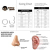 Double-Line Cartilage Clicker Hoop with Clear Cubic Zirconia - Image 11