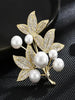 Pearl Maple Leaf Rhinestone Brooches For Women Elegant Metal Fixed Clothing Pins Daily Jewelry Accessories - Image 1