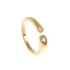Month Birthstone Style Ring with Zircon Accents in Gold Tone or Silver Tone - Image 14
