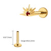 Titanium CZ Starburst Stud Earring 16G Sunrise Helix Stud Tragus Cartilage Labret Monroe Piercing Jewelry - Image 28