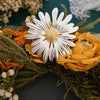 Simple Daisies and Tibetan Cosmos Flowers Brooch for Women Enamel Metal Jewelry Banquet Party Clothing Coat Pin Girl Gift - Image 5