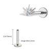 Titanium CZ Starburst Stud Earring 16G Sunrise Helix Stud Tragus Cartilage Labret Monroe Piercing Jewelry - Image 15