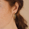 Stainless Steel Thin Hoop Earrings in Gold-Tone or Silver-Tone with 12 mm 14 mm or 18 mm Options - Image 26