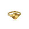 Minimalist Dainty Rays Texture Circle Index Ring Gold Plated Stainless Steel Ring For Women - Image 7