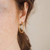Stainless Steel Thin Hoop Earrings in Gold-Tone or Silver-Tone with 12 mm 14 mm or 18 mm Options - Image 25