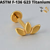 1PC Moon Titanium Cartilage Earrings Stud 16G Internally Threaded Helix Heart Ear Tragus Piercing Body Jewelry - Image 28