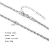 Stainless Steel Chain Necklace in Paperclip Box or Twisted Link Styles - Image 13