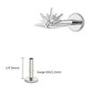 Titanium CZ Starburst Stud Earring 16G Sunrise Helix Stud Tragus Cartilage Labret Monroe Piercing Jewelry - Image 30