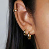 Simple Classic Gold Color Plated Stainless Steel Chubby Earrings 12mm 14mm 18mm Women's Jewelry - Image 2