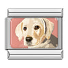 Women Animals Cat Dog Italian Charm Fit 9mm Stainless Steel Bracelet Gift Jewelry - Image 9