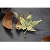 Brooches for Women Gold Color Maple Leaf Brooches Feather Pin Cardigan Shawl Buckle Jewelry Accessories - Image 8