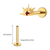 Titanium CZ Starburst Stud Earring 16G Sunrise Helix Stud Tragus Cartilage Labret Monroe Piercing Jewelry - Image 26